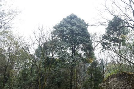 西游记阴曹地府拍摄地