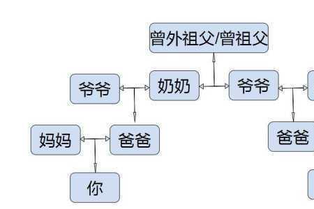 堂兄弟有多少血缘基因