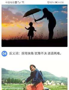 毫不动摇的豪是什么意思