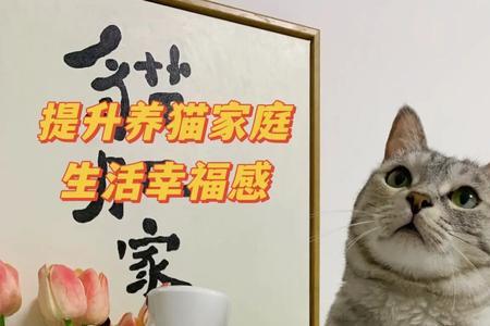 洗床单用84对猫有危害吗