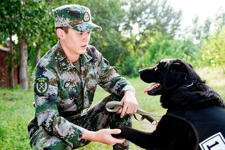 神犬奇兵的军犬大赛在第几集