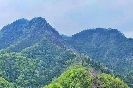 桃林大山森林公园要门票吗