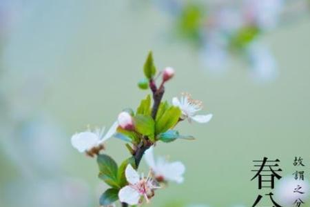 春分是春节第几个春节