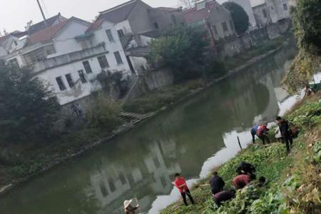 河道两岸是否允许种菜