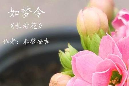 花香飘逸什么意思