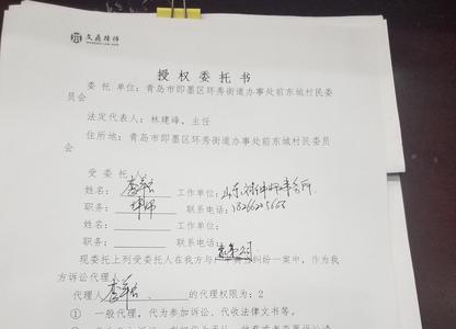 律师代理意见什么意思