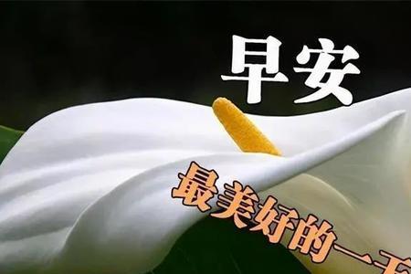 赞年轻时的照片祝福语