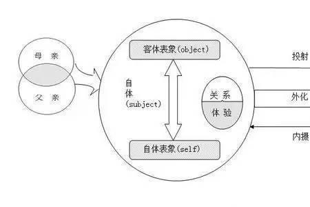 投射性认同四种类型