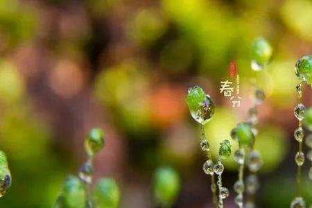 什么字表示雨水充沛，褒义的