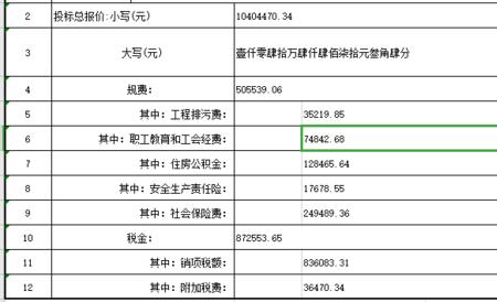 其他项目费没有暂估价怎么回事