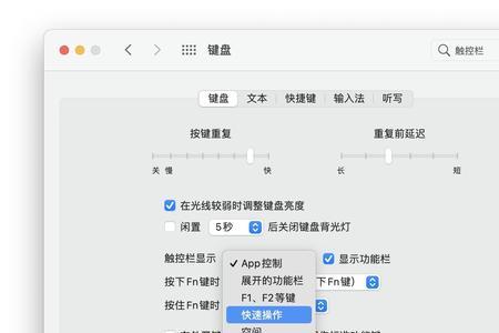 网易云mac菜单栏怎么显示歌词