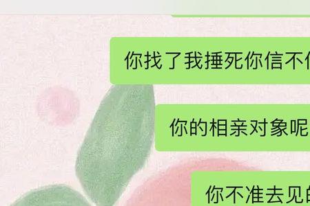 有人给我介绍对象什么意思