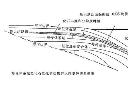 凝缩和浓缩的区别