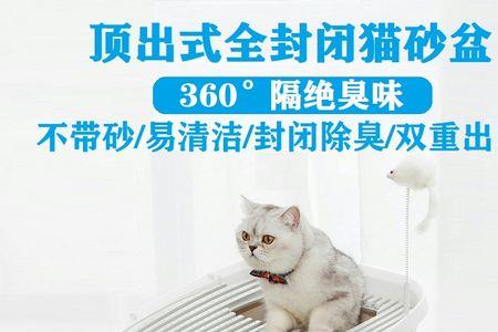 猫砂盆能放在洗澡间嘛