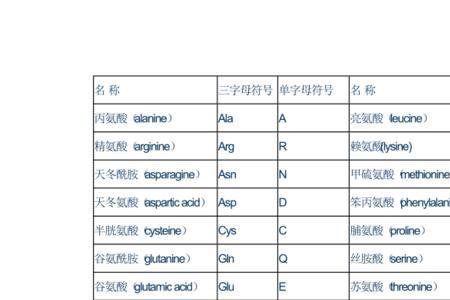 氨基酸aaa是什么意思