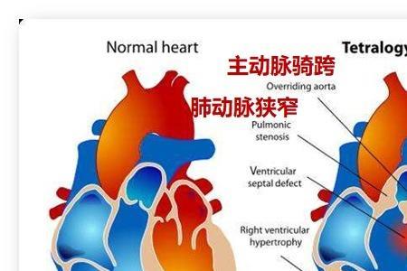 为什么氧气最先进入左心房