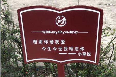 保护花坛的警示语