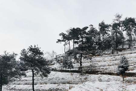 等广西下雪了我就释怀什么意思