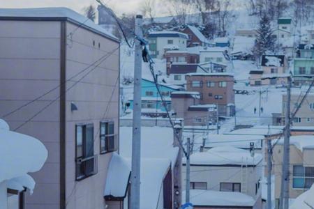 北海道的雪啥意思