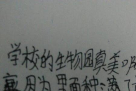 描写做手工的排比句