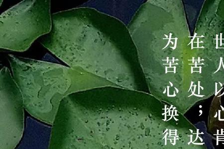 苦尽甘来打一字