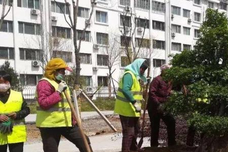 植树时，树坑挖成什么形状好