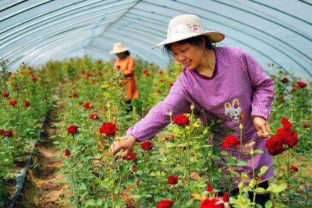 怎么开花卉基地