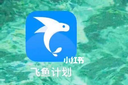 飞鱼加速app