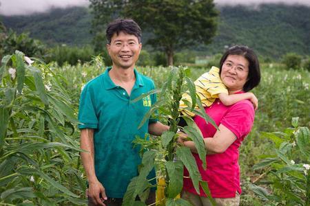 芝麻花流蜜量大吗