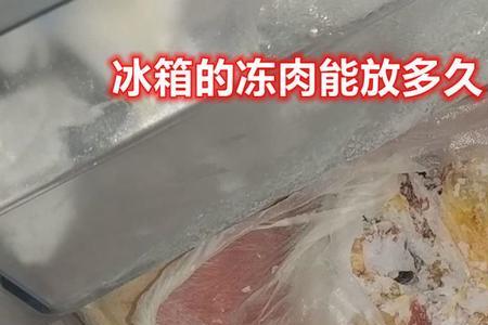 冻肉保质期18个月是哪个国标