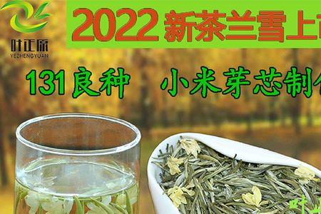 顶级茉莉花茶兰雪出品时间