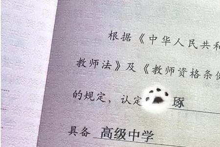 教资可以跳过小学考中学吗