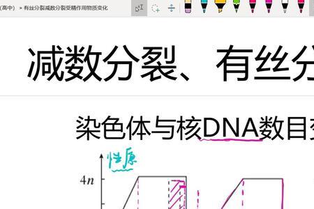 电子可分裂吗