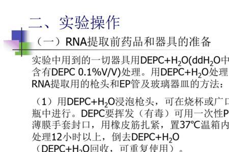 rna引物怎么保存