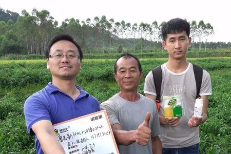 辣椒上的白飞虱怎么弄掉用机器