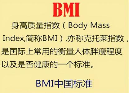 bmi什么样子