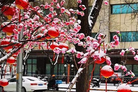 农历2月下雪好吗