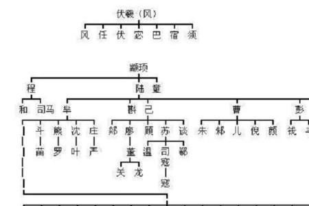 中国所有通姓的人都有关系吗