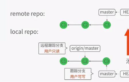 一分支是啥意思