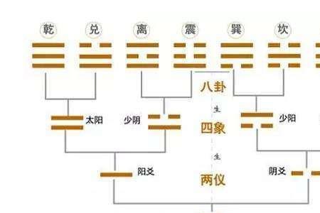 太极代表的人体四象是那四象