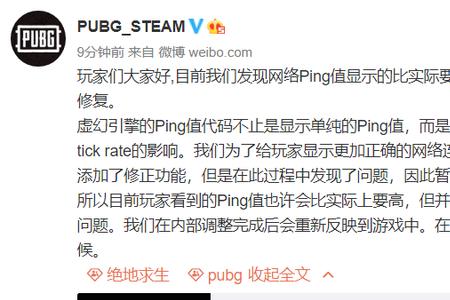 pubg怎么在游戏内显示ping值