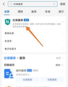 社保流水手机怎么查