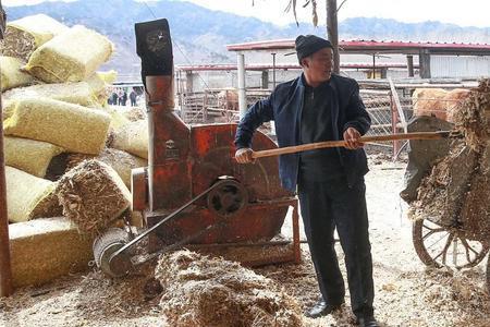 麦秆用什么词来形容