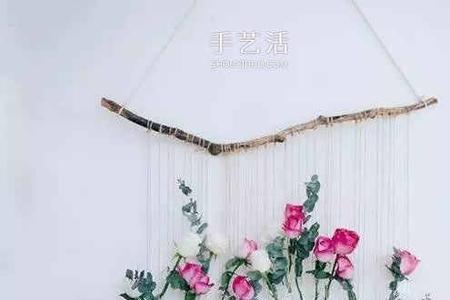 小番茄养多久做干花