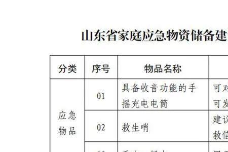 家庭备用物资储备清单最新