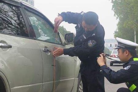 差点被撞可以报警吗