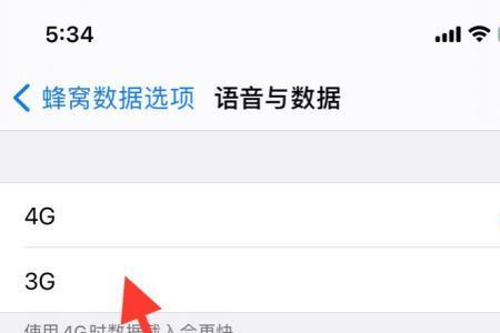 苹果手机怎么开数据网络