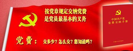 退休党费缴纳标准2022