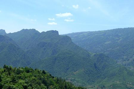 壶瓶山九头鸟之谜