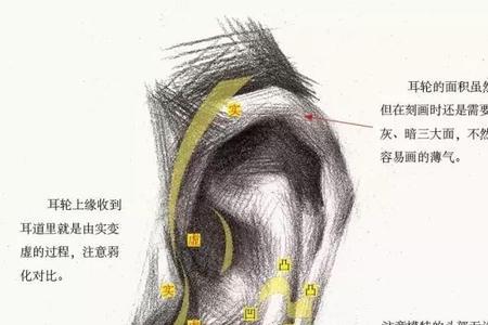 口贝加耳朵读什么